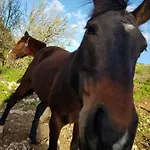 Pantalica Ranch 农家乐