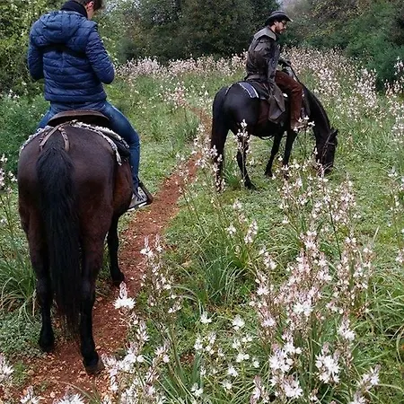 Séjour à la ferme Pantalica Ranch