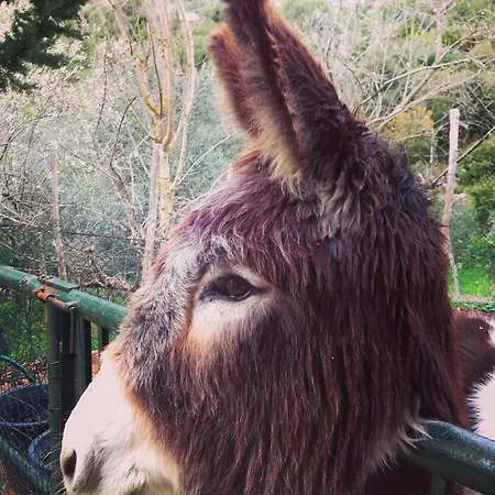 Pantalica Ranch Sortino