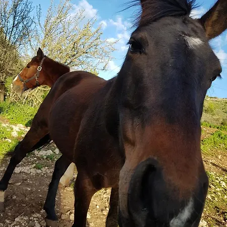 Pantalica Ranch Bauernhof