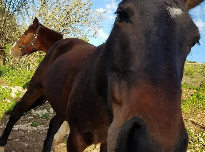 Pantalica Ranch Agroturismo