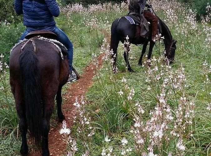Agroturismo Pantalica Ranch