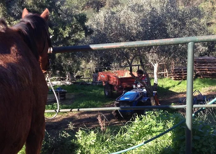 Pantalica Ranch Agroturismo